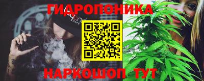 прущие крисы Кинель