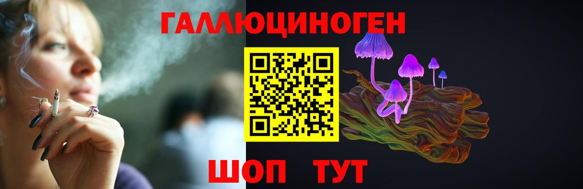 Галлюциногенные грибы мухоморы Ессентуки
